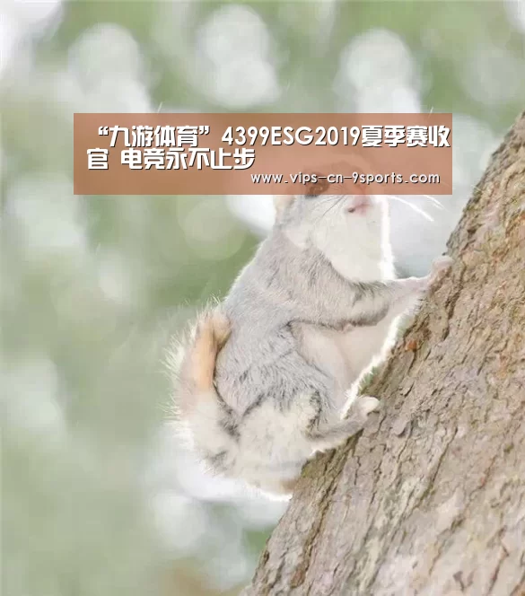 “九游体育”4399ESG2019夏季赛收官 电竞永不止步(图1) 九游体育