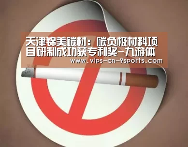 天津锦美碳材:碳负极材料项目研制成功获专利奖-九游体育(图2) 九游体育