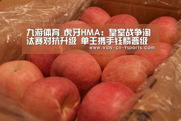 九游体育_虎牙HMA:皇室战争淘汰赛对抗升级 单王携手钰麟晋级半决赛(图2) 九游体育