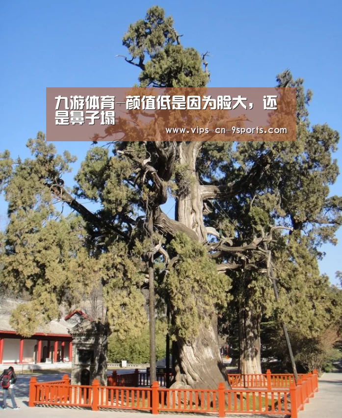 九游体育