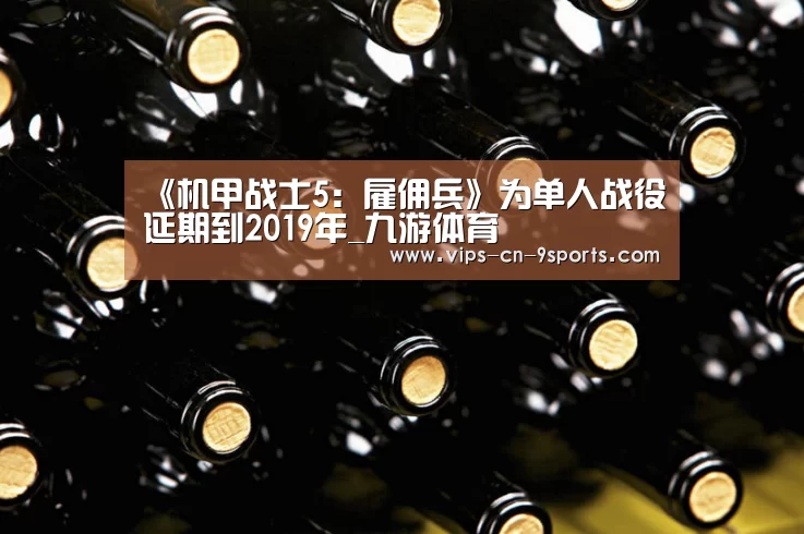 《机甲战士5:雇佣兵》为单人战役延期到2019年_九游体育(图3) 九游体育