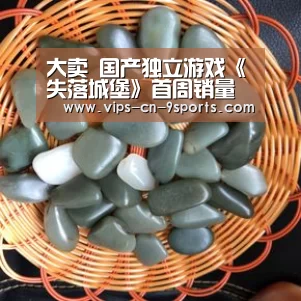 大卖 国产独立游戏《失落城堡》首周销量破两万“九游体育”(图1) 九游体育