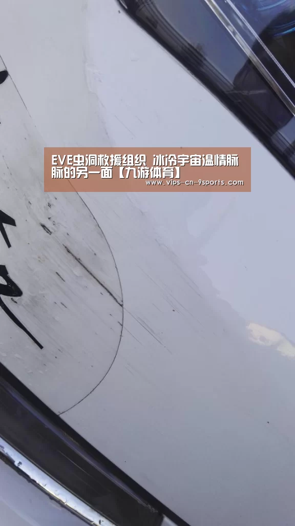 EVE虫洞救援组织 冰冷宇宙温情脉脉的另一面【九游体育】(图4) 九游体育