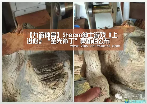 【九游体育】Steam绅士游戏《上进心》“圣光补丁”更新档公布(图1) 九游体育
