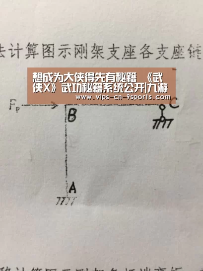 想成为大侠得先有秘籍 《武侠X》武功秘籍系统公开|九游体育(图4) 九游体育