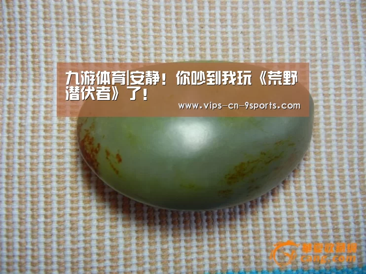 九游体育|安静!你吵到我玩《荒野潜伏者》了!(图2) 九游体育